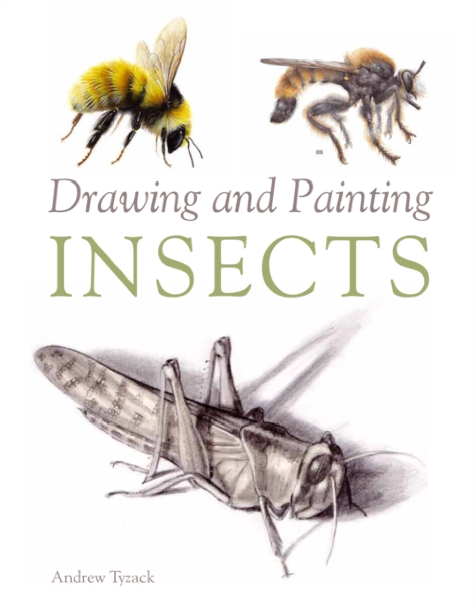 Kniha Drawing and Painting Insects