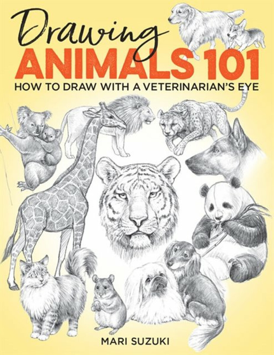 Kniha Drawing Animals 101