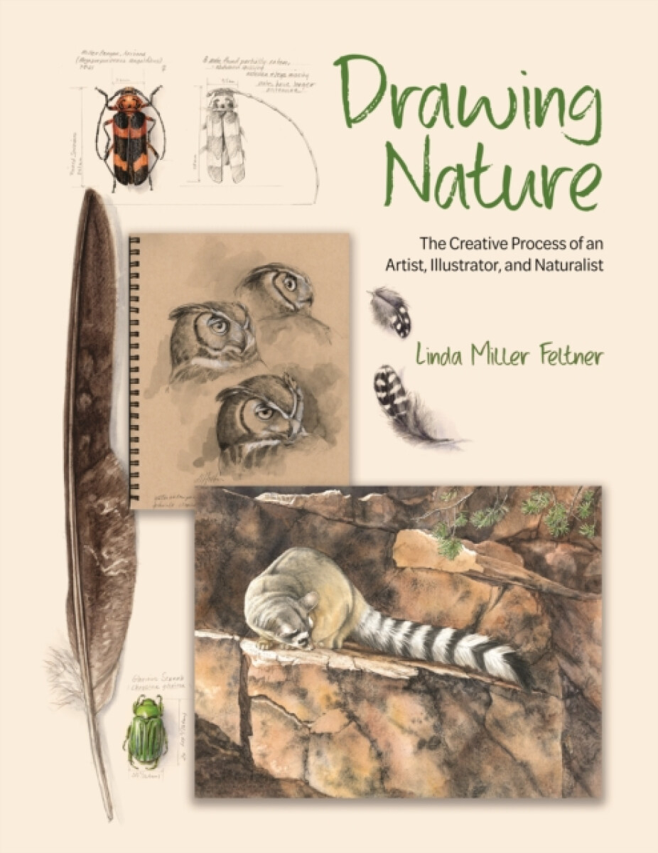 Kniha Drawing Nature