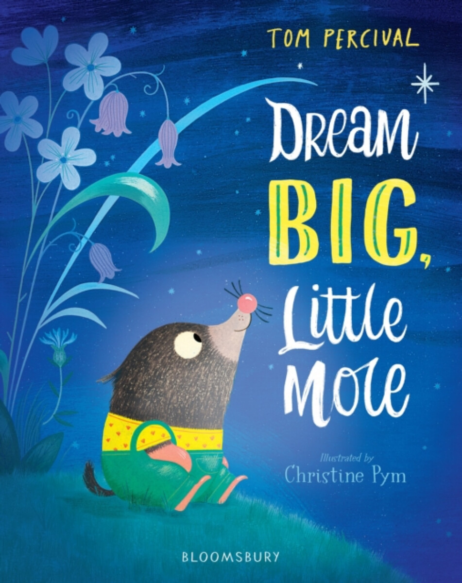 Kniha Dream Big, Little Mole