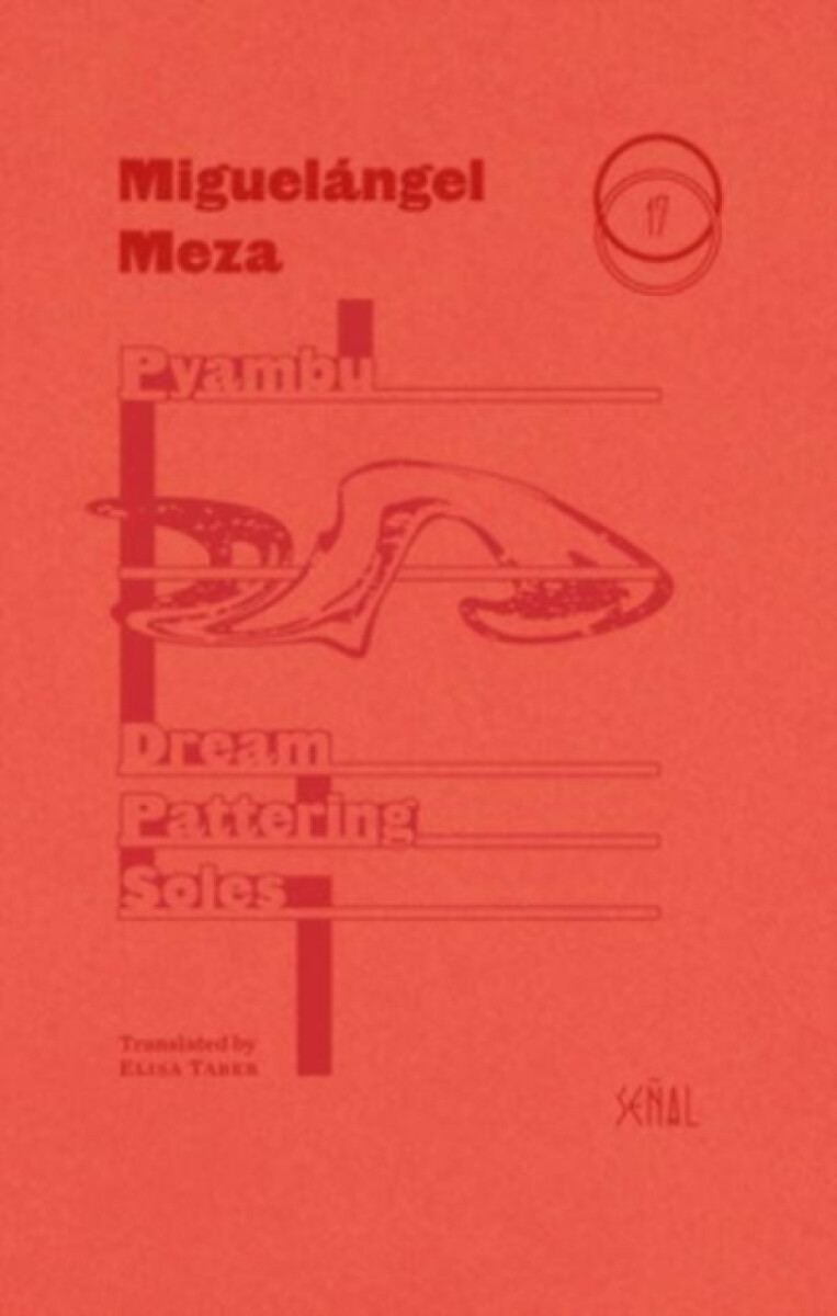 Kniha Dream Pattering Soles