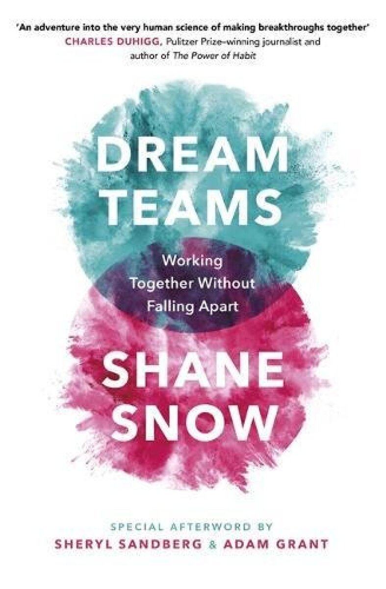 Kniha Dream Teams