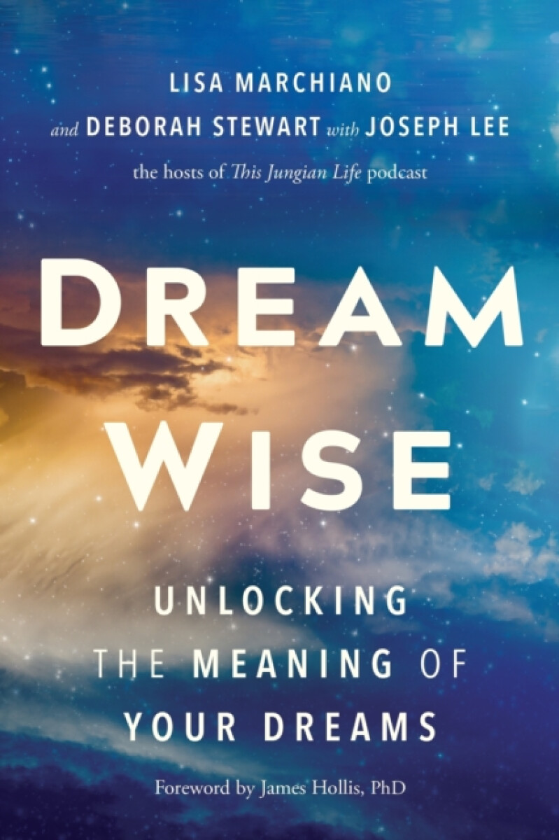 Kniha Dream Wise