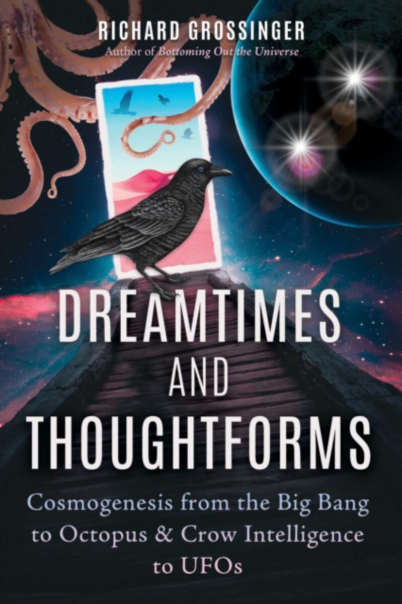 Kniha Dreamtimes and Thoughtforms
