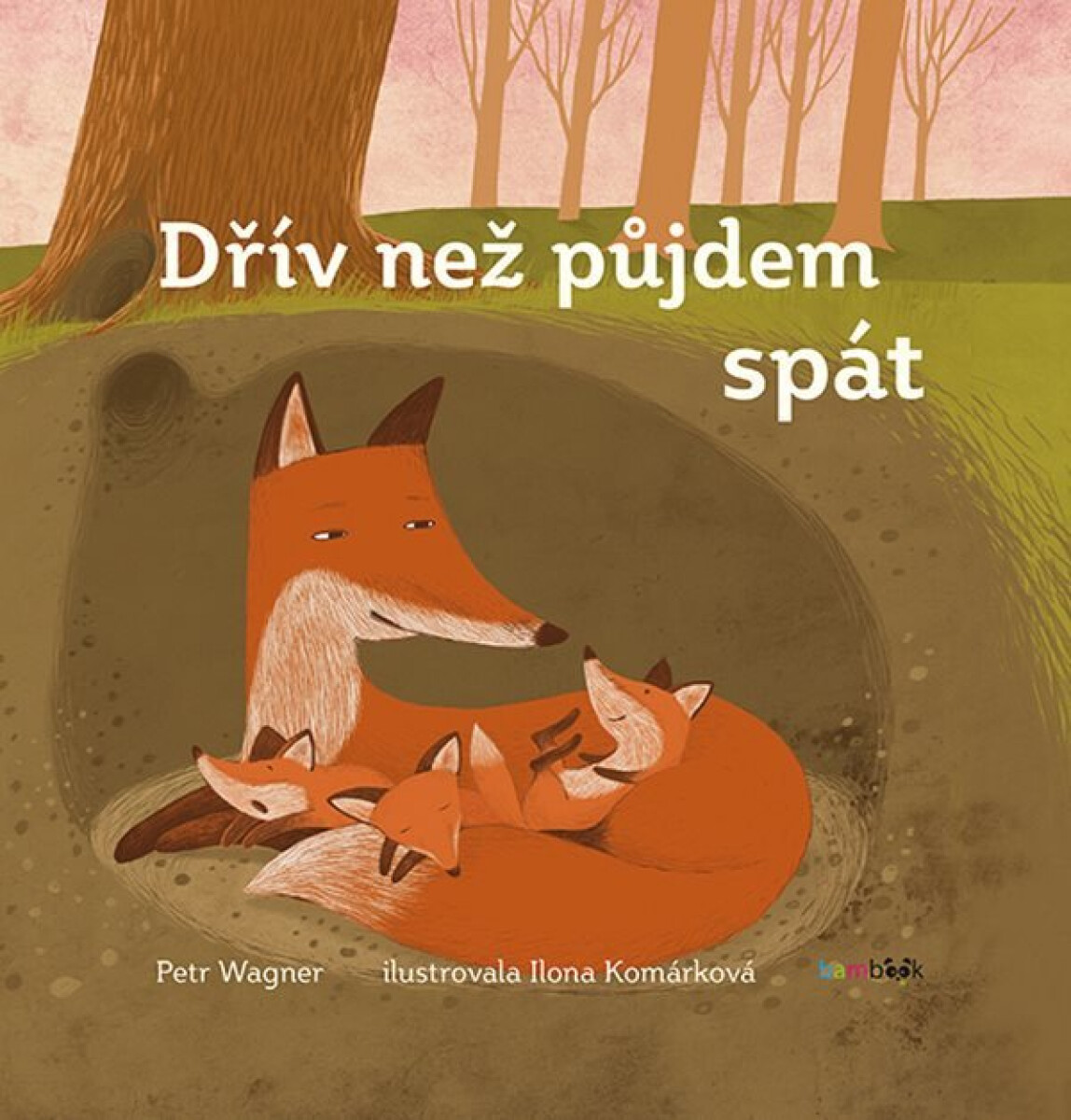 Kniha Dřív, než půjdem spát