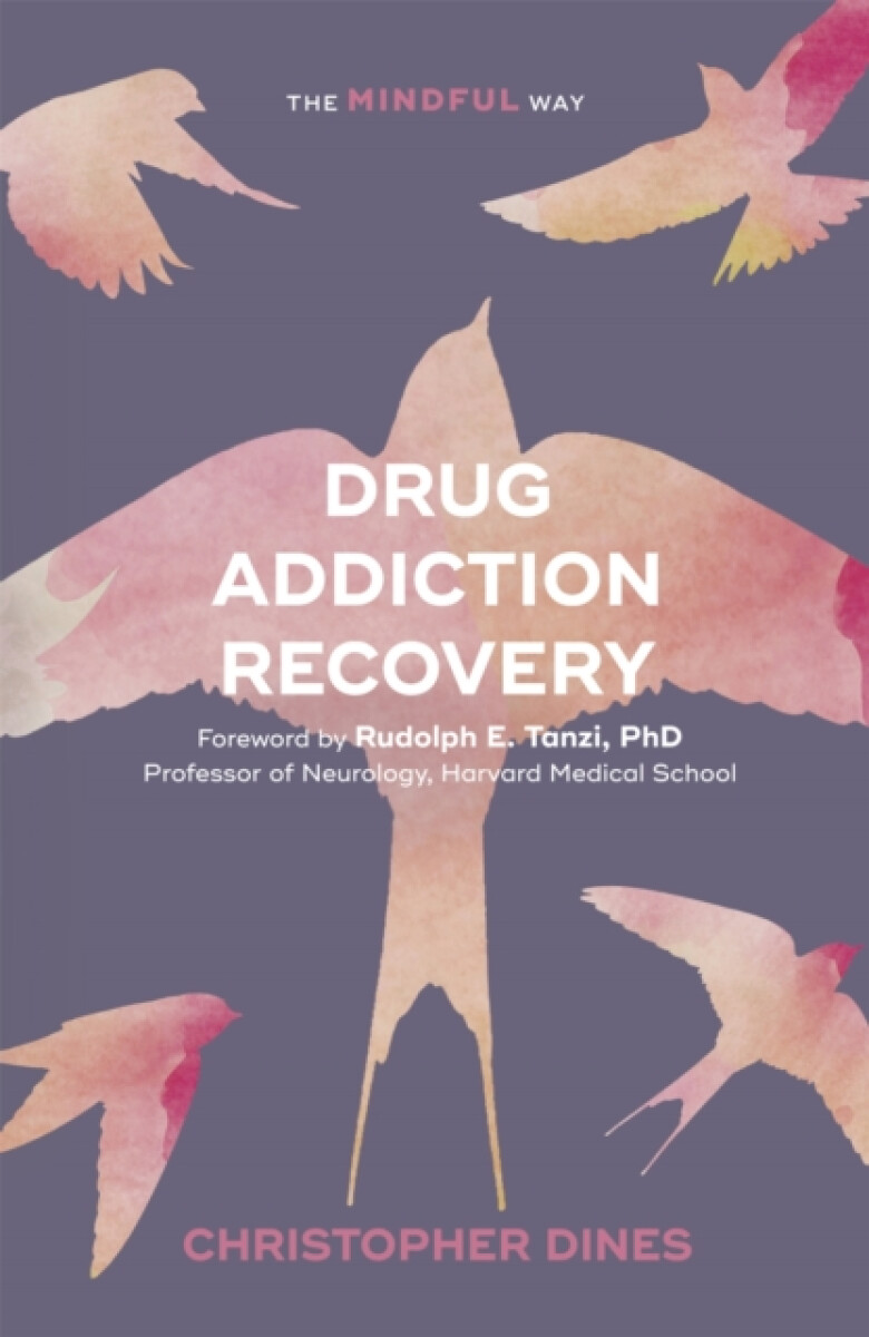 Kniha Drug Addiction Recovery: The Mindful Way