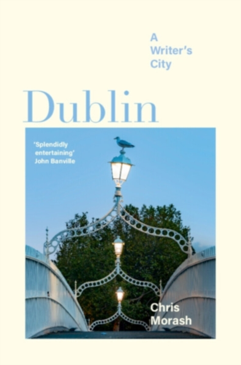 Kniha Dublin