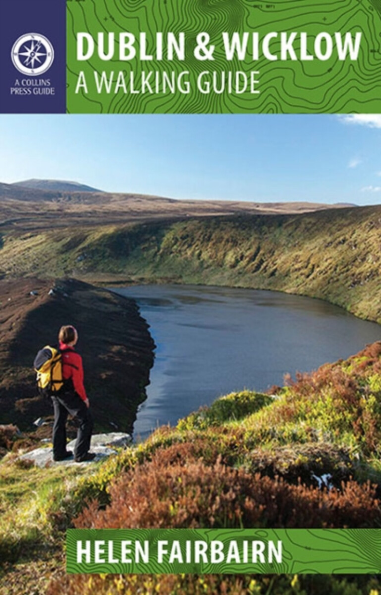 Kniha Dublin a Wicklow