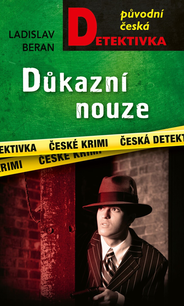 Levně Důkazní nouze - Ladislav Beran