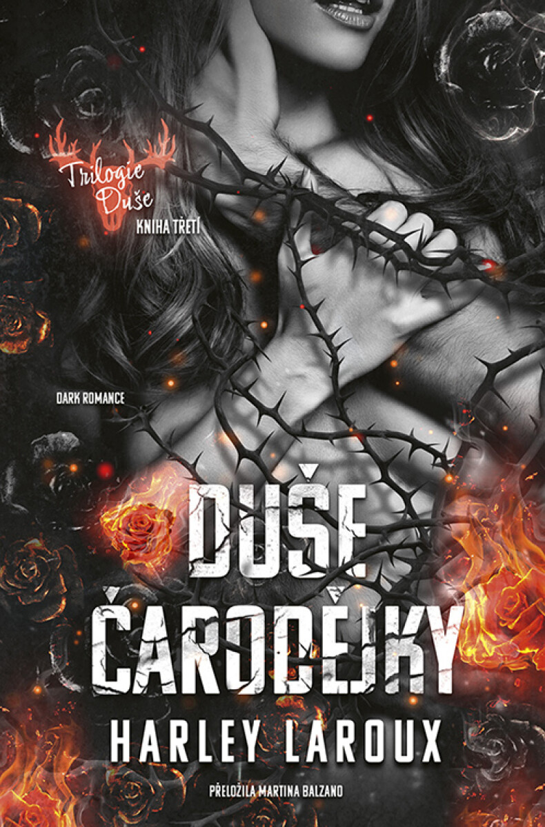 Levně Duše čarodějky - Harley Laroux