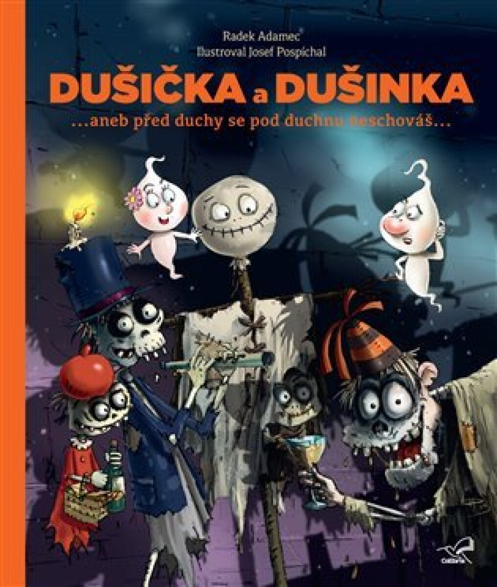 Kniha Dušička a Dušinka