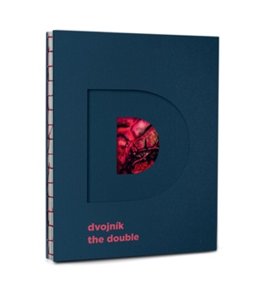 Kniha Dvojník