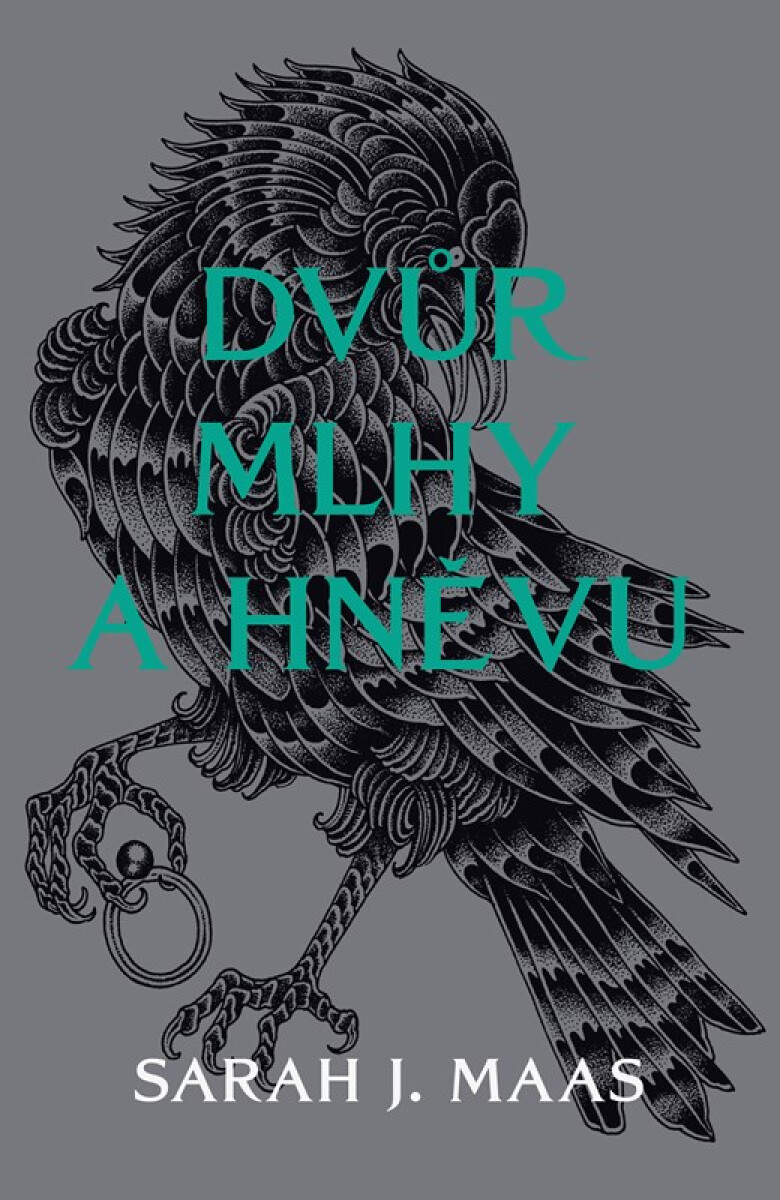 Kniha Dvůr mlhy a hněvu