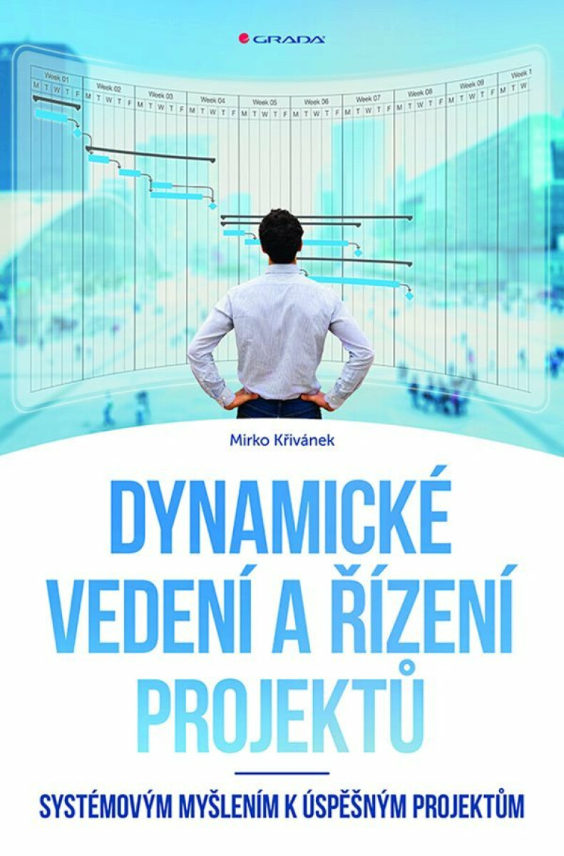 Kniha Dynamické vedení a řízení projektů