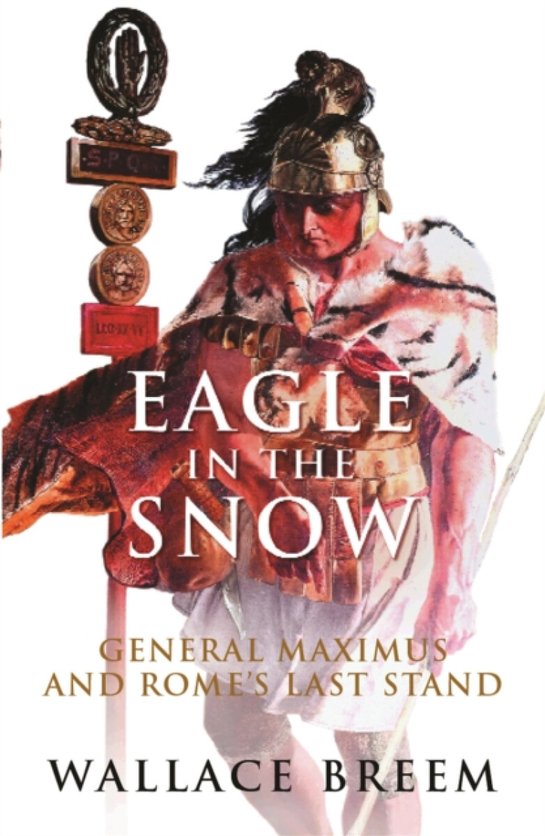 Kniha Eagle in the Snow