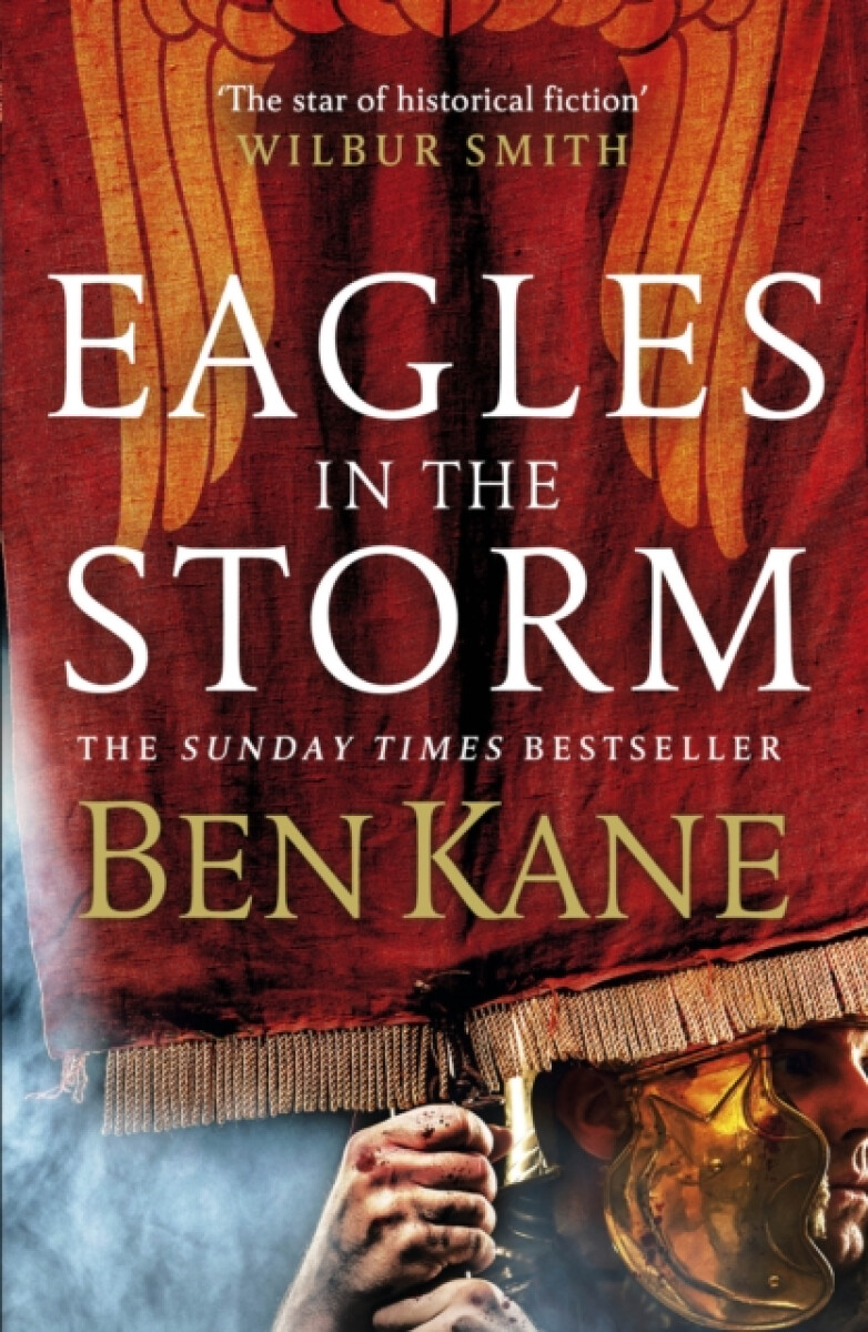 Kniha Eagles in the Storm
