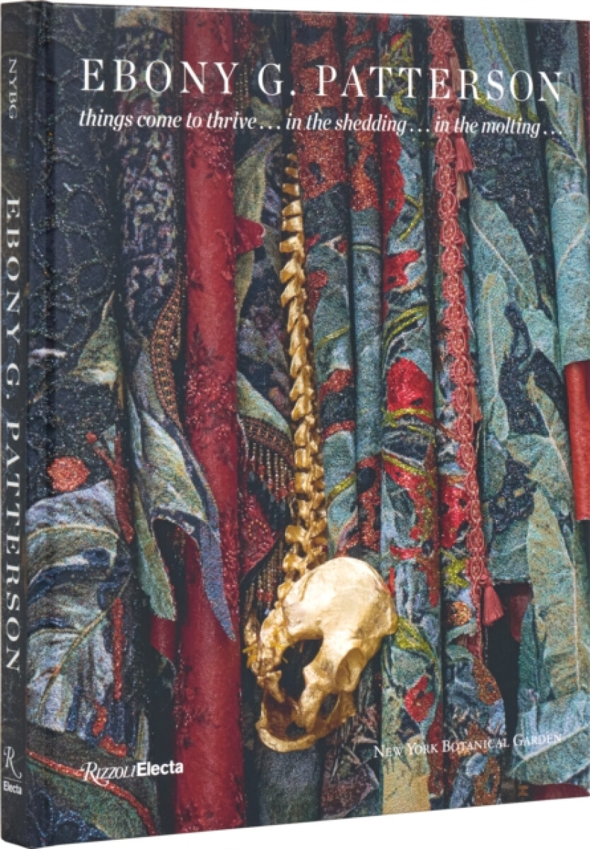 Kniha Ebony G. Patterson