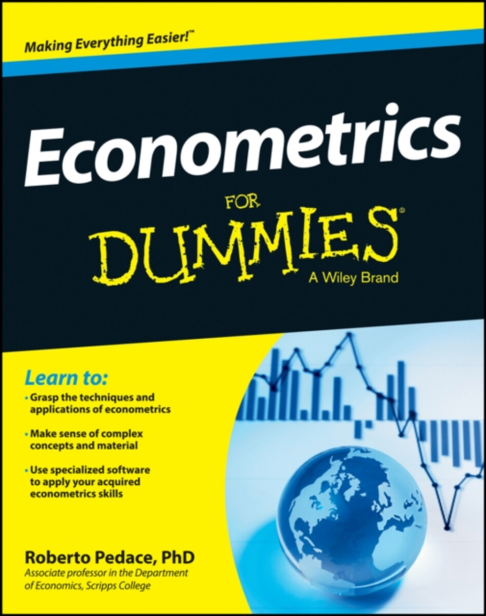 Kniha Econometrics For Dummies