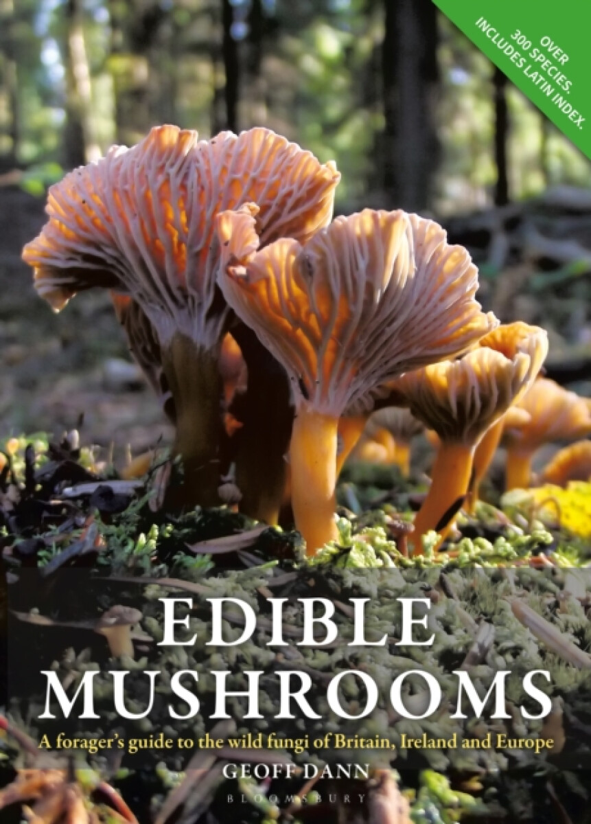 Kniha Edible Mushrooms
