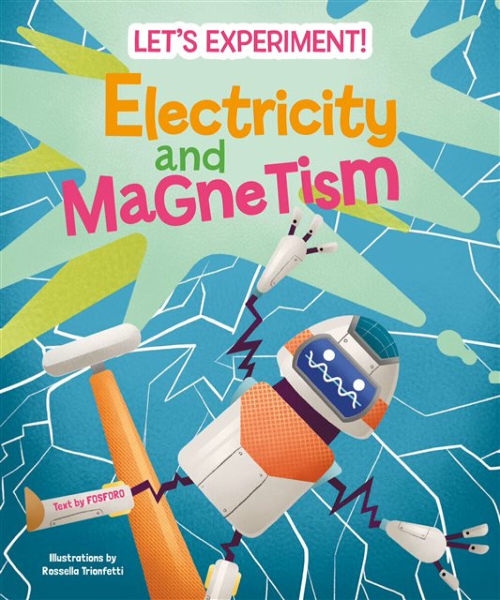 Kniha Electricity and Magnetism