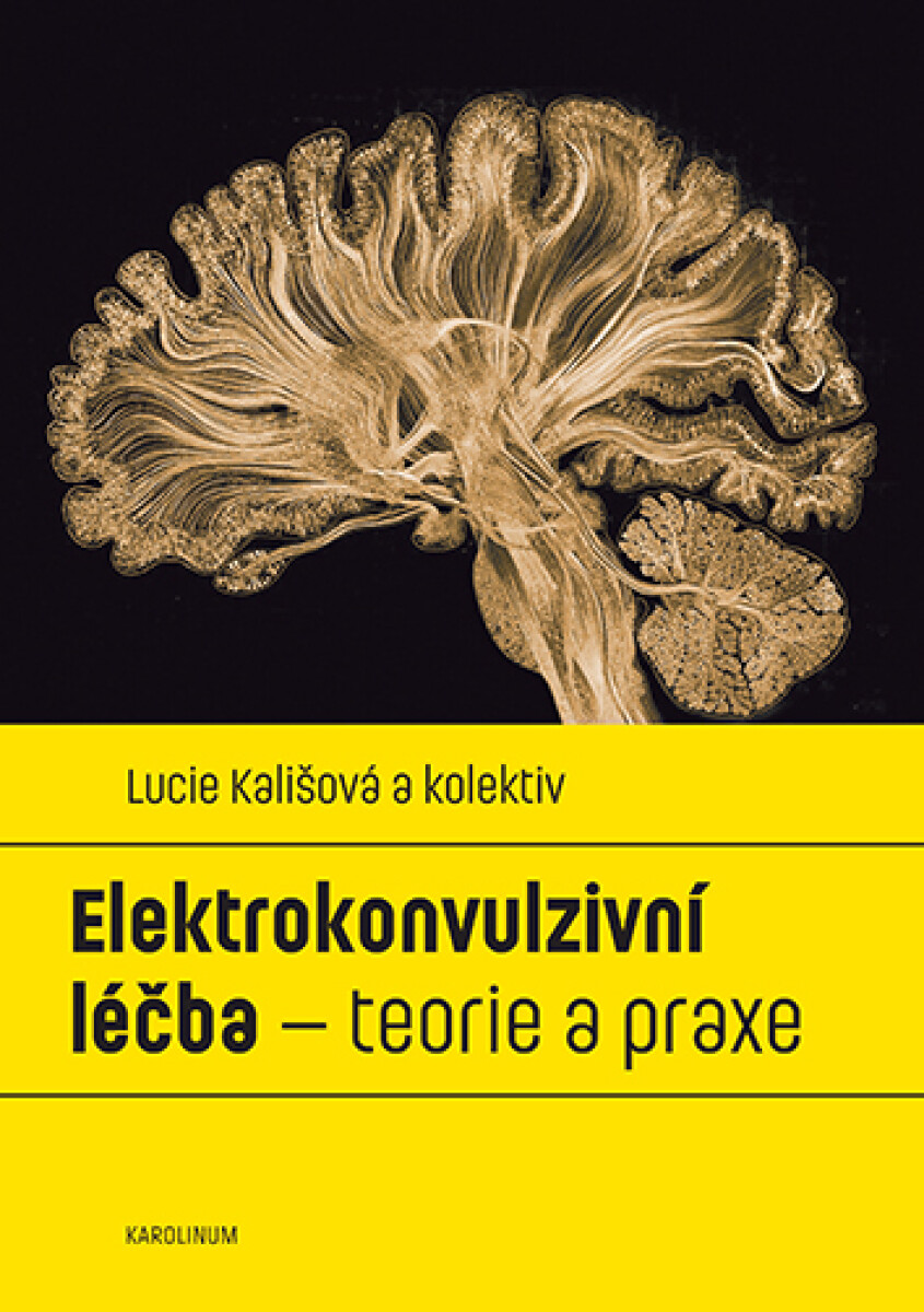 Elektrokonvulzivní léčba – teorie a praxe - Lucie Kališová
