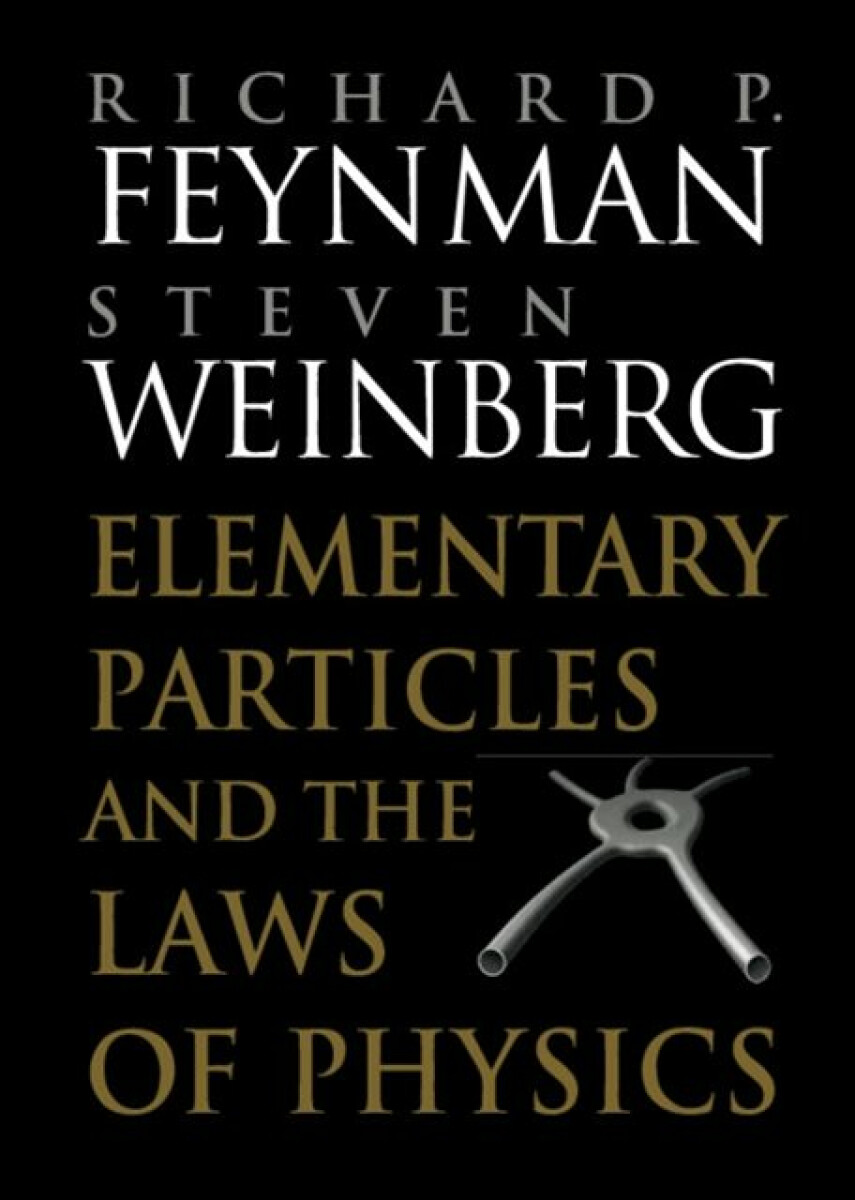 Kniha Elementary Particles and the Laws of Physics