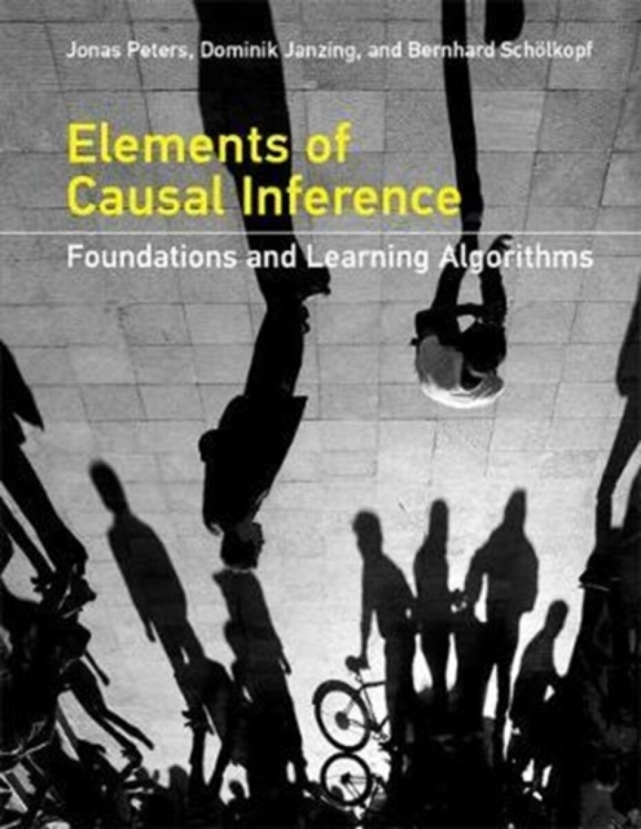 Kniha Elements of Causal Inference
