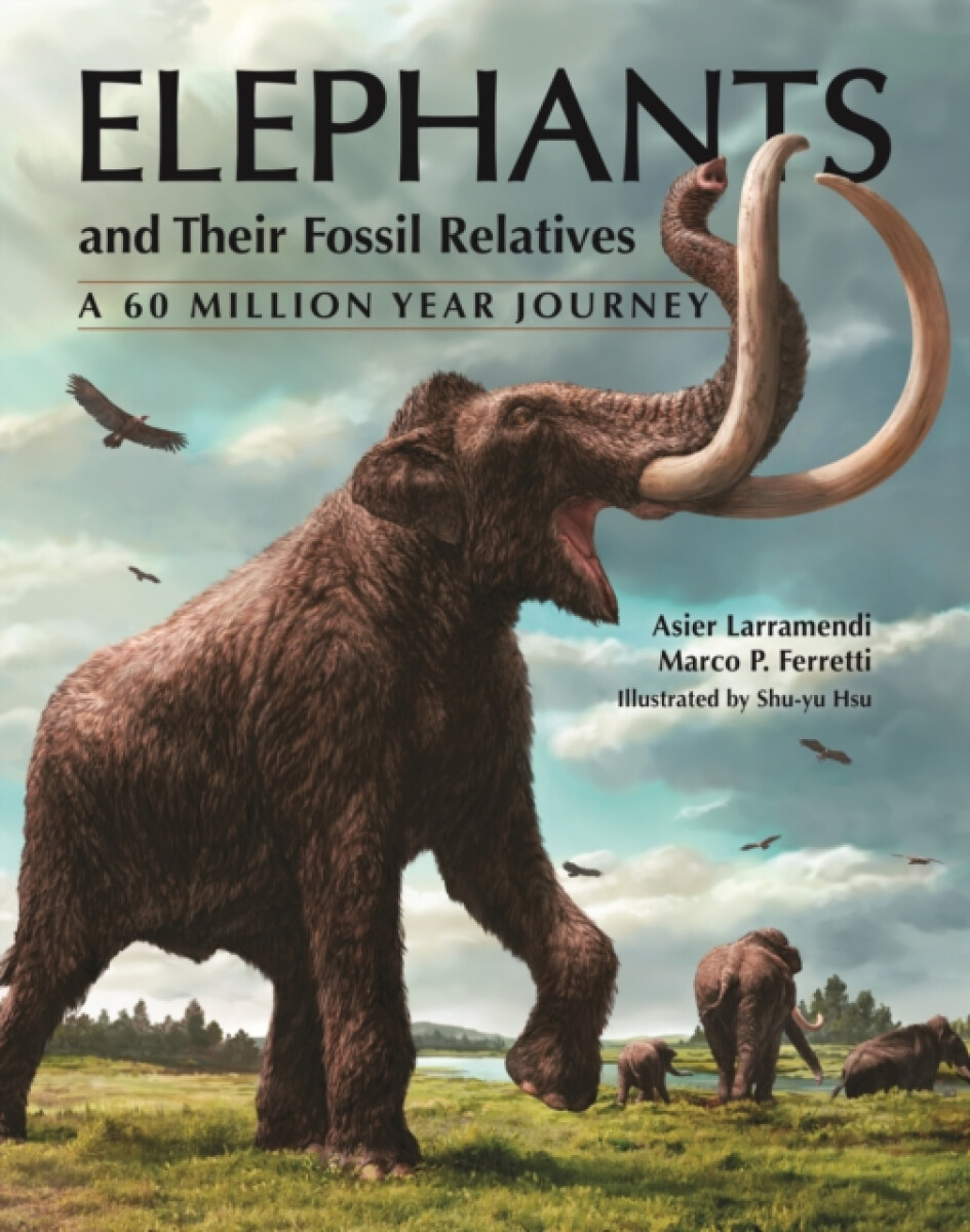 Kniha Elephants and Their Fossil Relatives