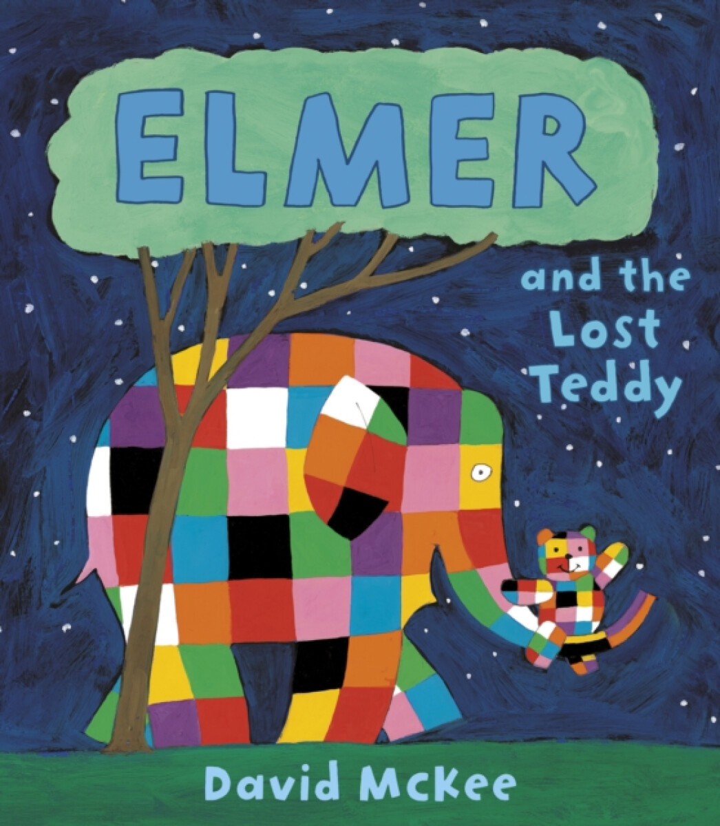 Kniha Elmer and the Lost Teddy