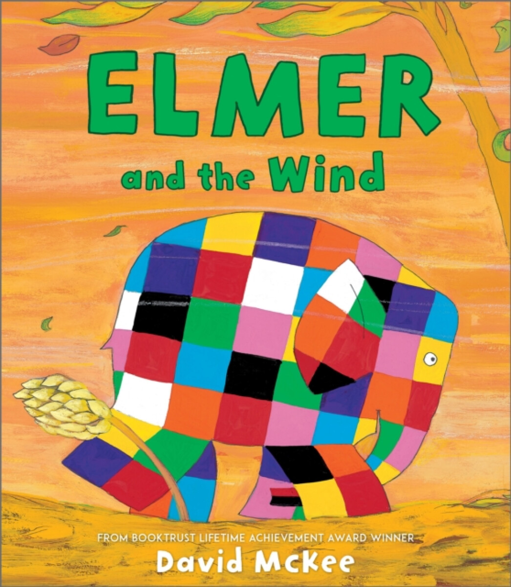 Kniha Elmer and the Wind