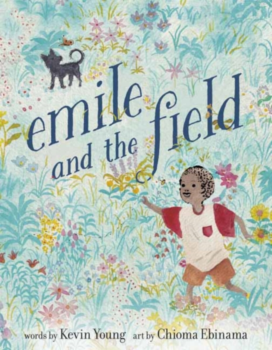 Kniha Emile and the Field
