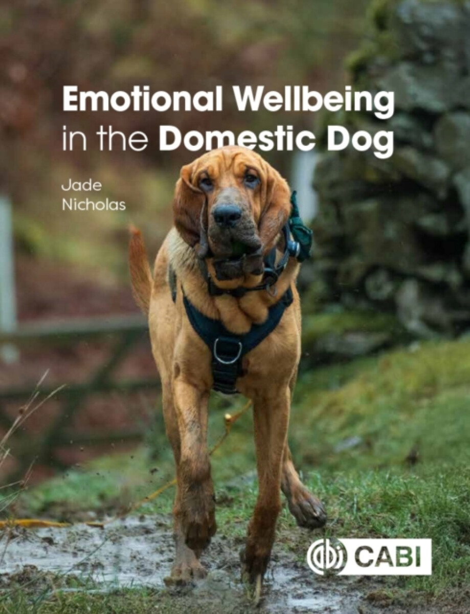 Kniha Emotional Wellbeing in the Domestic Dog