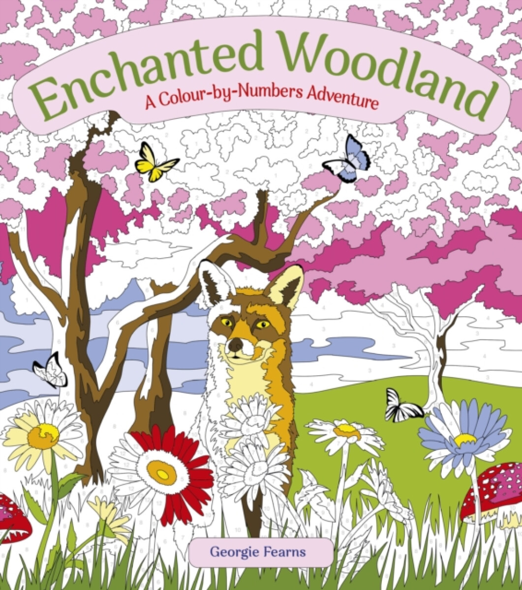 Kniha Enchanted Woodland: A Colour-by-Numbers Adventure