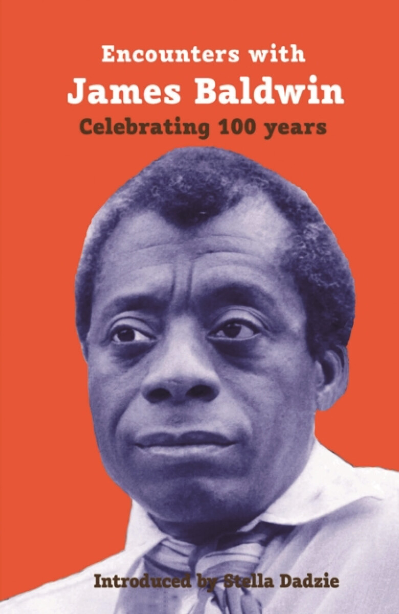Kniha Encounters with James Baldwin