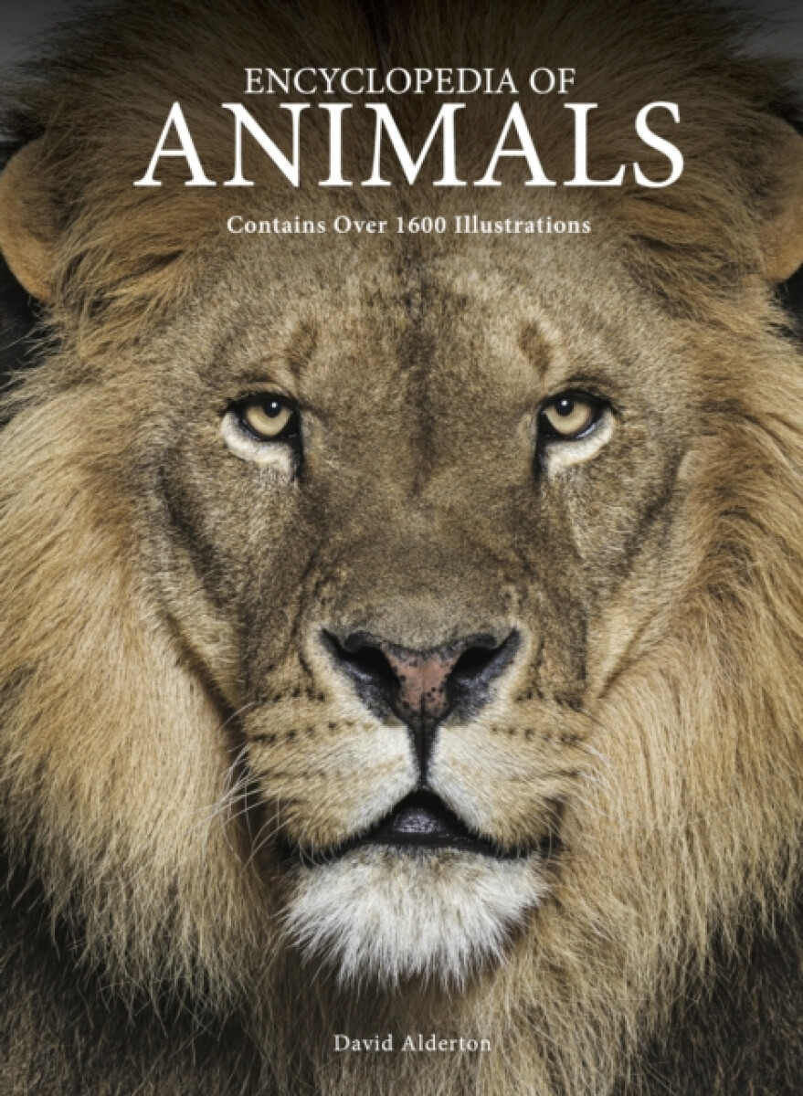 Kniha Encyclopedia of Animals
