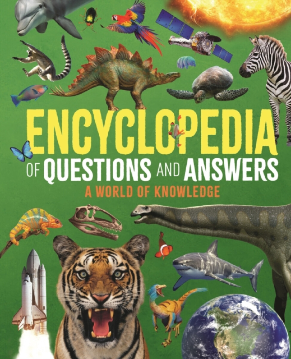 Kniha Encyclopedia of Questions and Answers