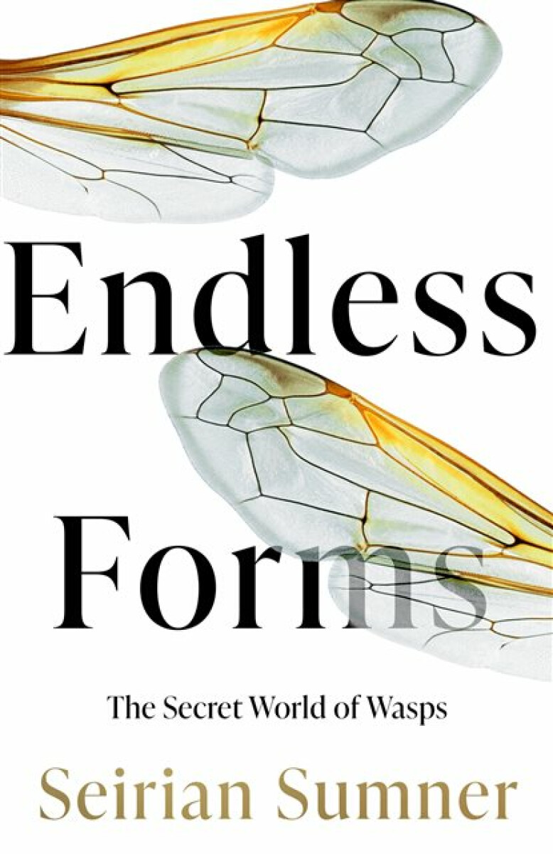 Kniha Endless Forms