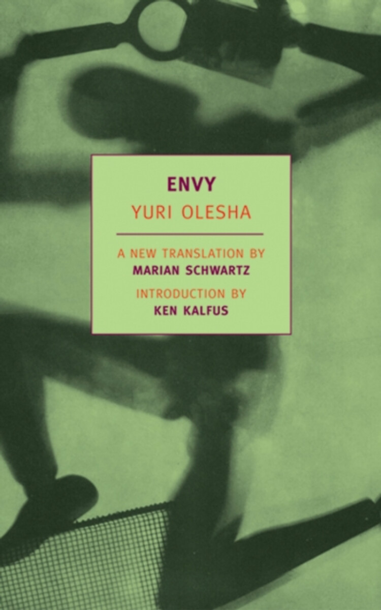 Kniha Envy