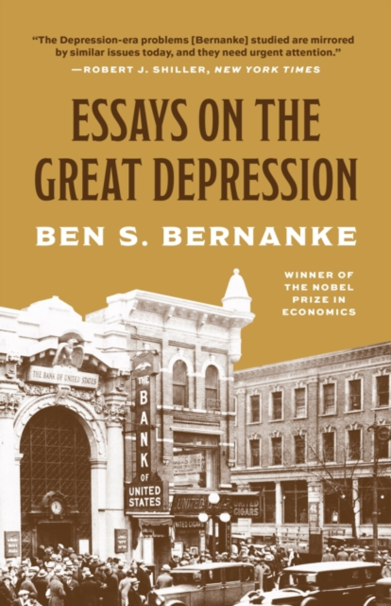 Kniha Essays on the Great Depression