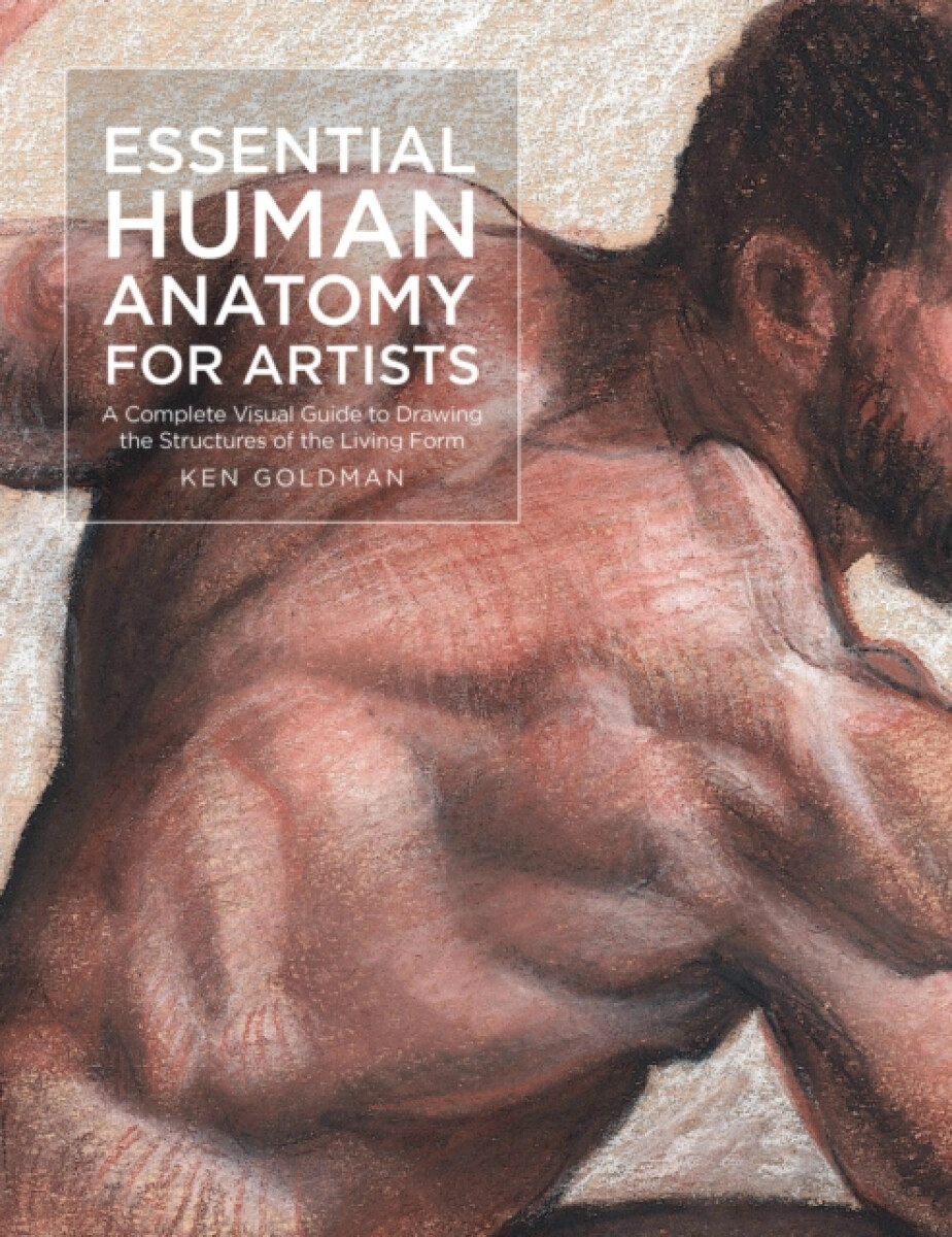 Kniha Essential Human Anatomy for Artists