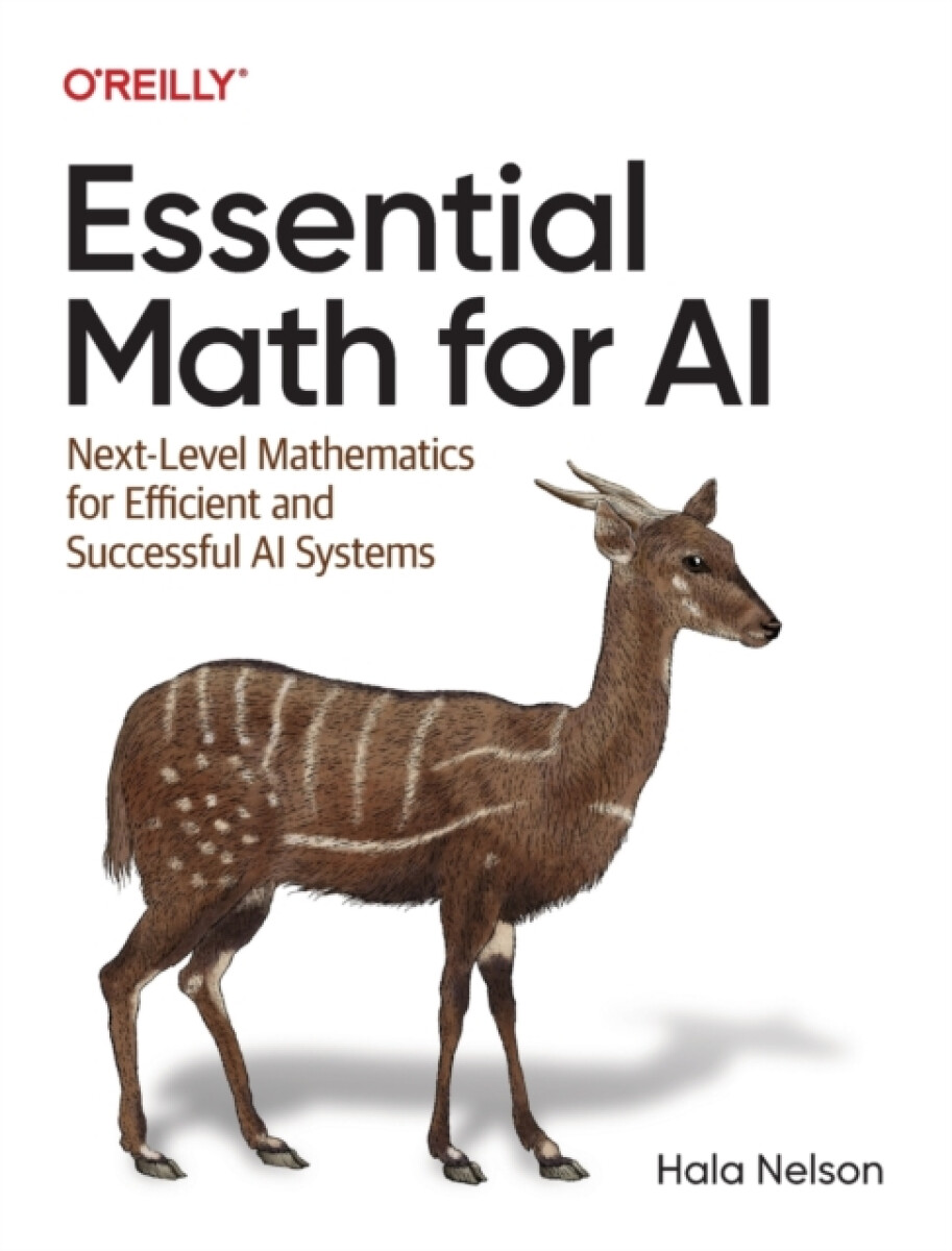 Kniha Essential Math for AI