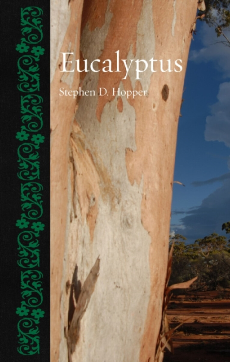 Kniha Eucalyptus