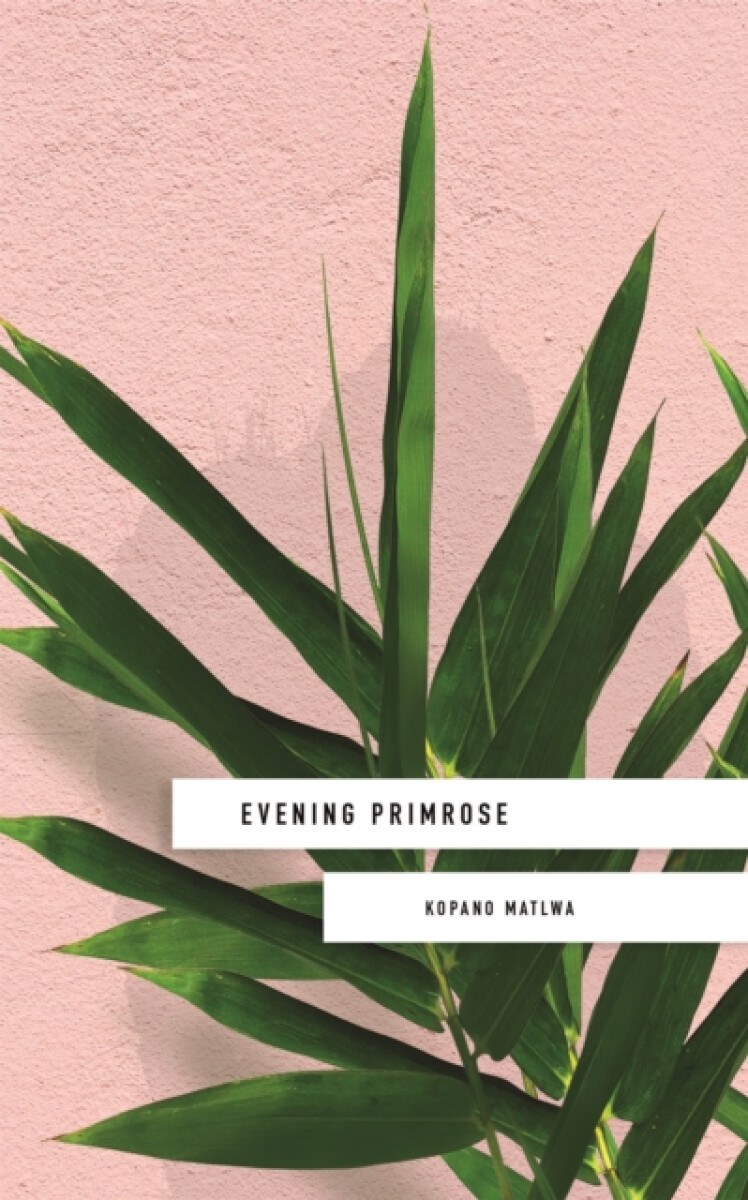 Kniha Evening Primrose: a heart-wrenching novel for our times