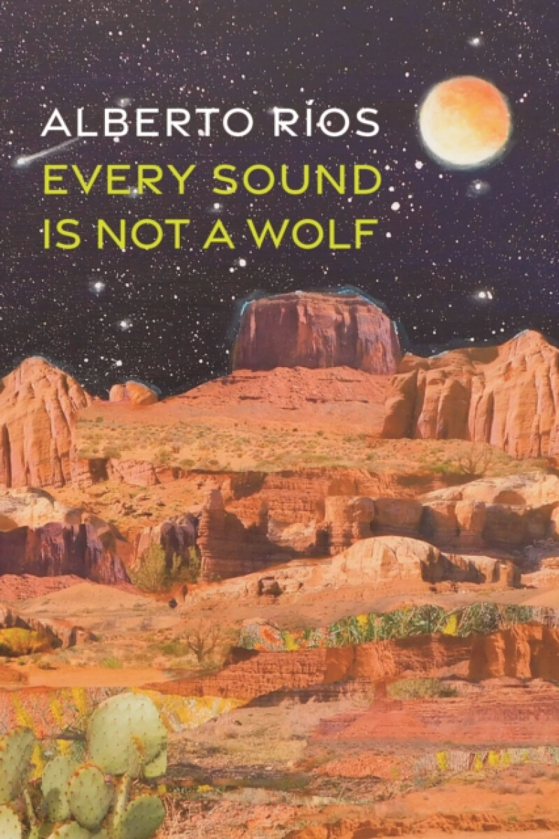 Kniha Every Sound Is Not a Wolf