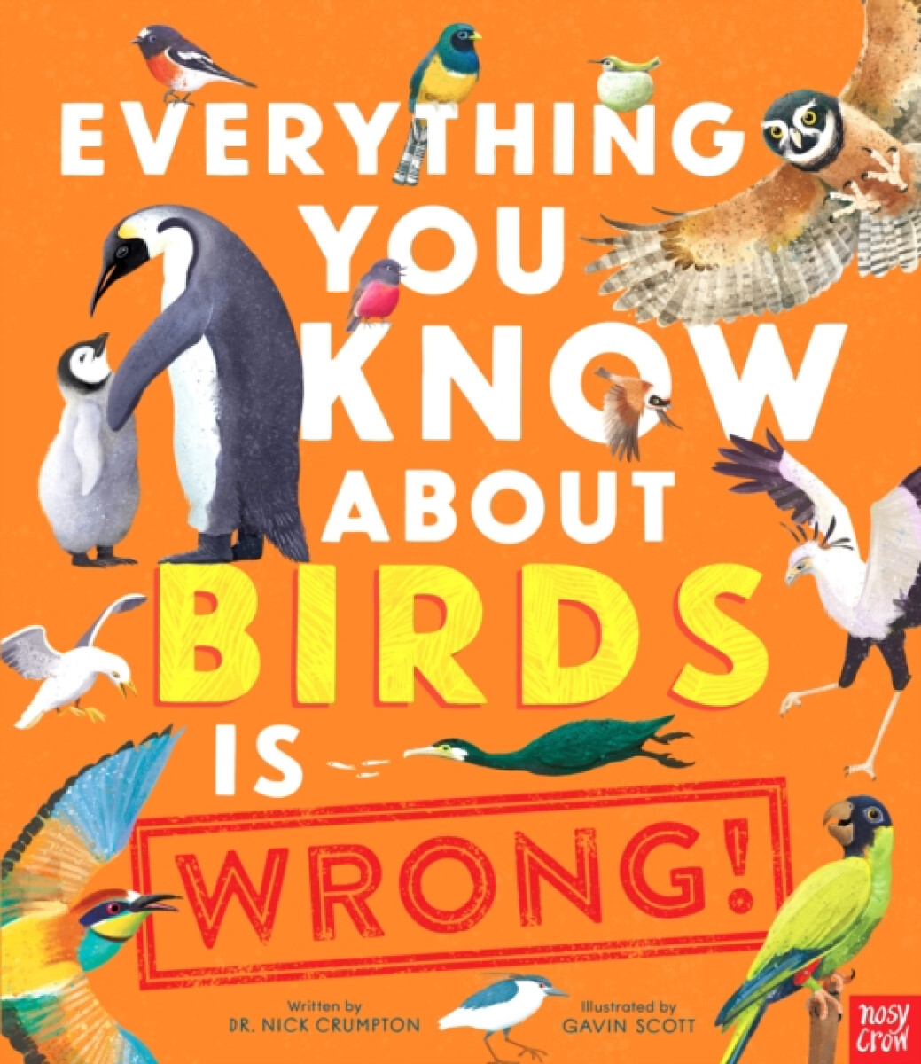 Kniha Everything You Know About Birds is Wrong!