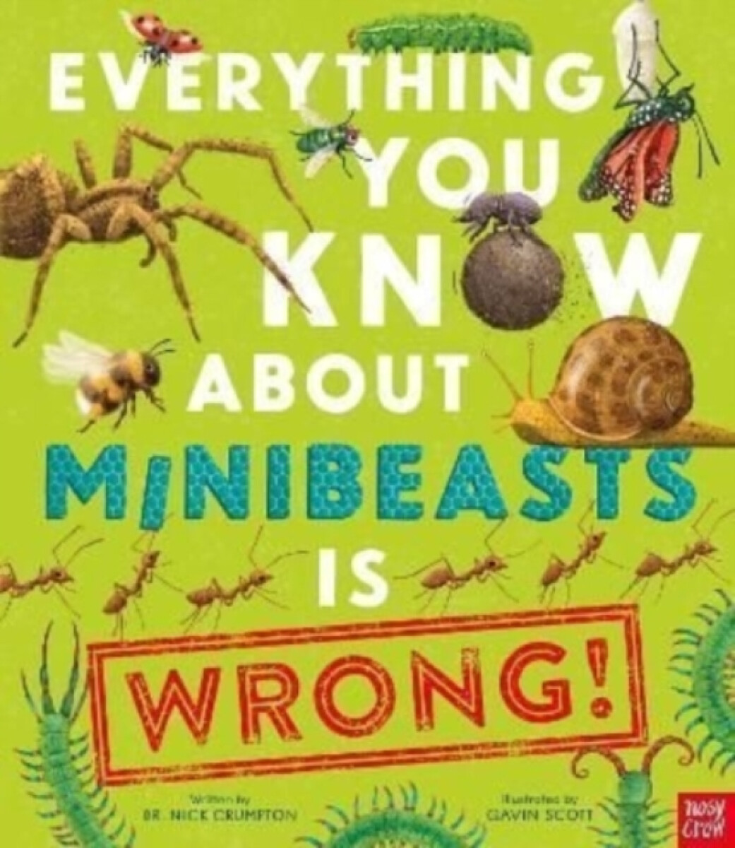 Kniha Everything You Know About Minibeasts is Wrong!