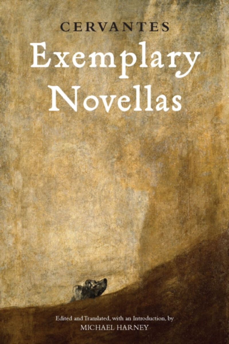 Kniha Exemplary Novellas