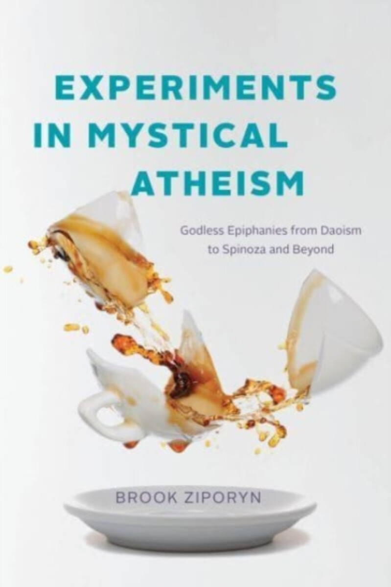 Kniha Experiments in Mystical Atheism
