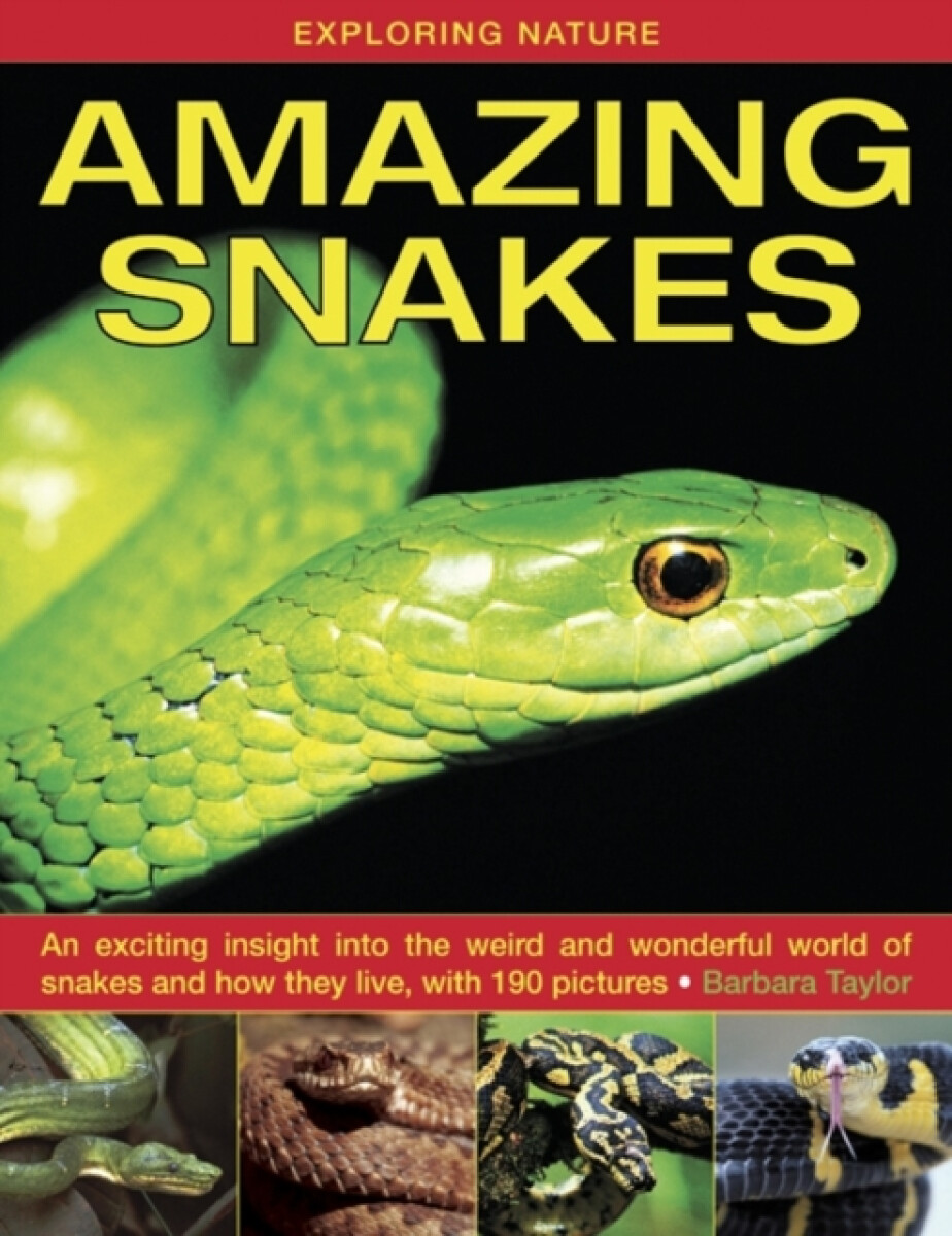 Kniha Exploring Nature: Amazing Snakes