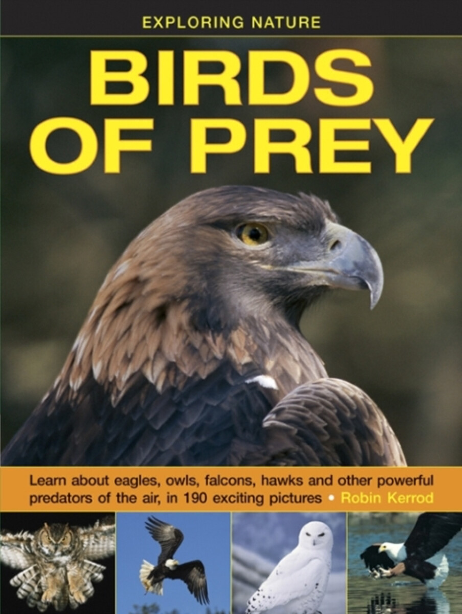 Kniha Exploring Nature: Birds of Prey